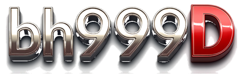 bh999d logo